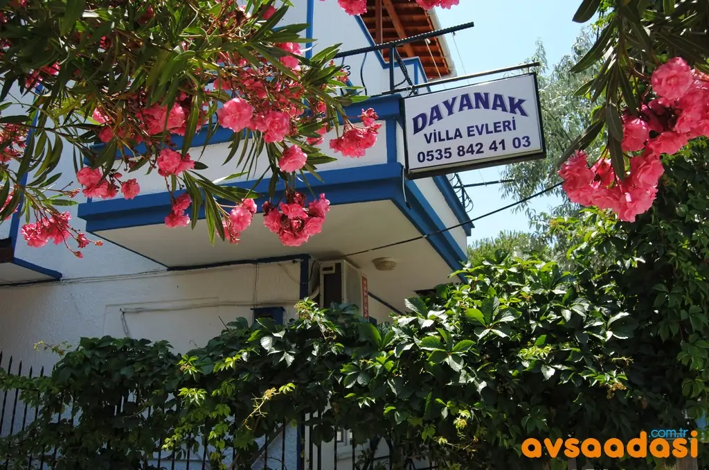 dayanak apart avşa