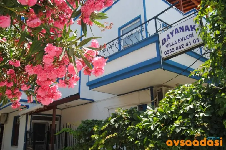 Dayanak Villa