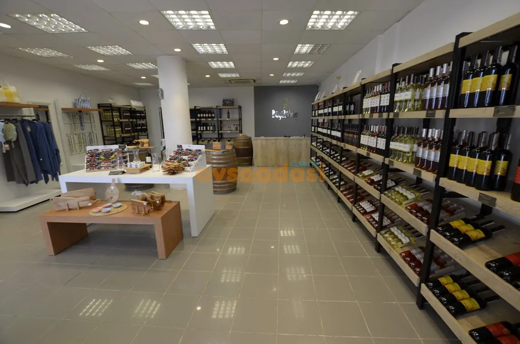 avsa sarap fabrika ziyaret