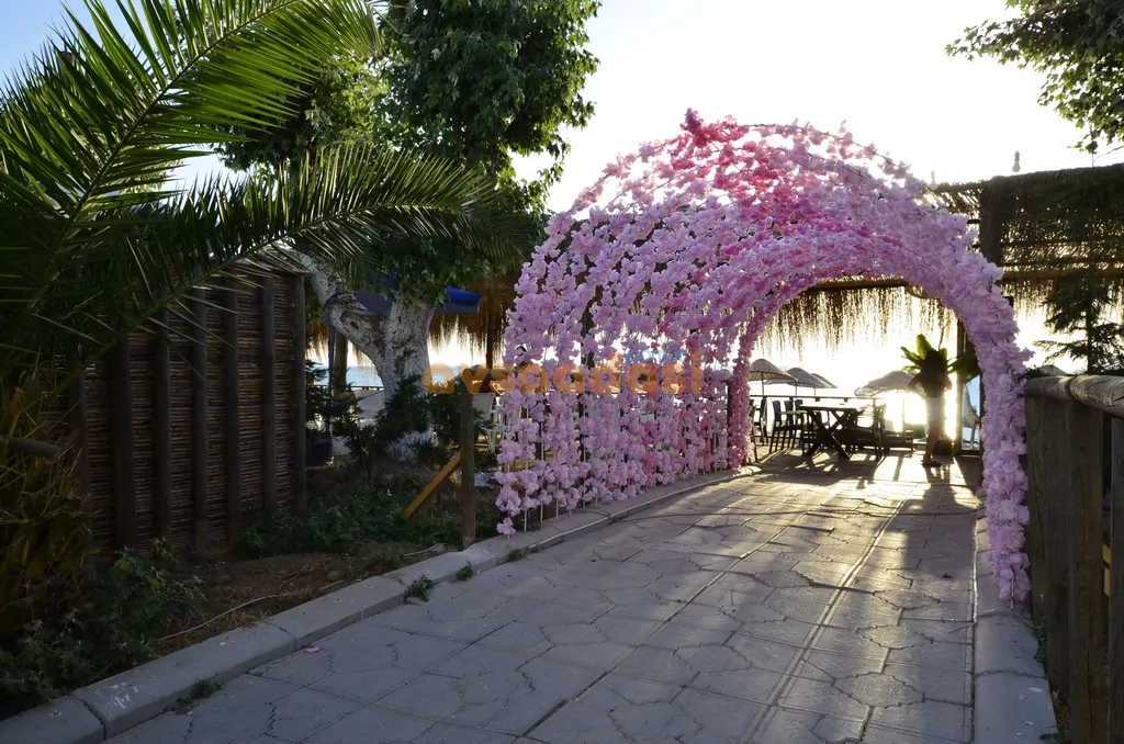 cosmos beach