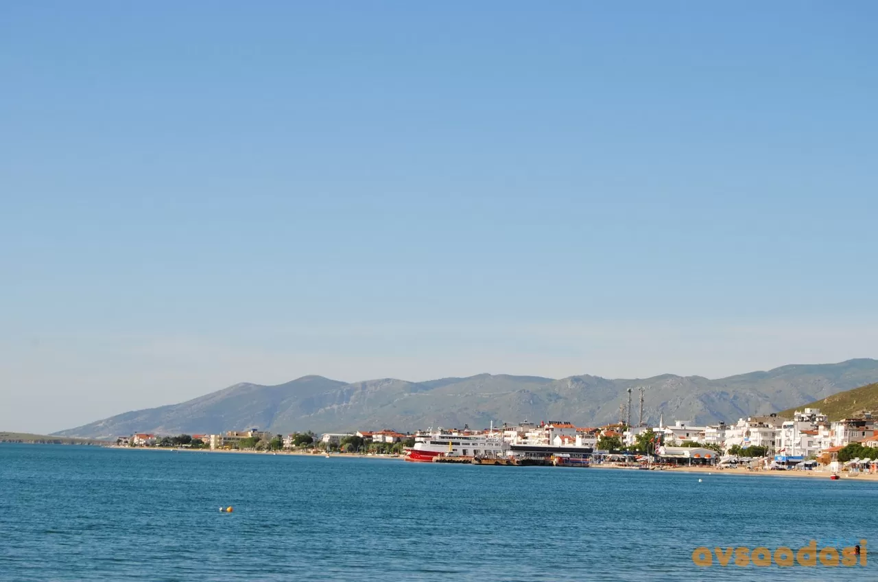 AVŞA ADASI HAKKINDA