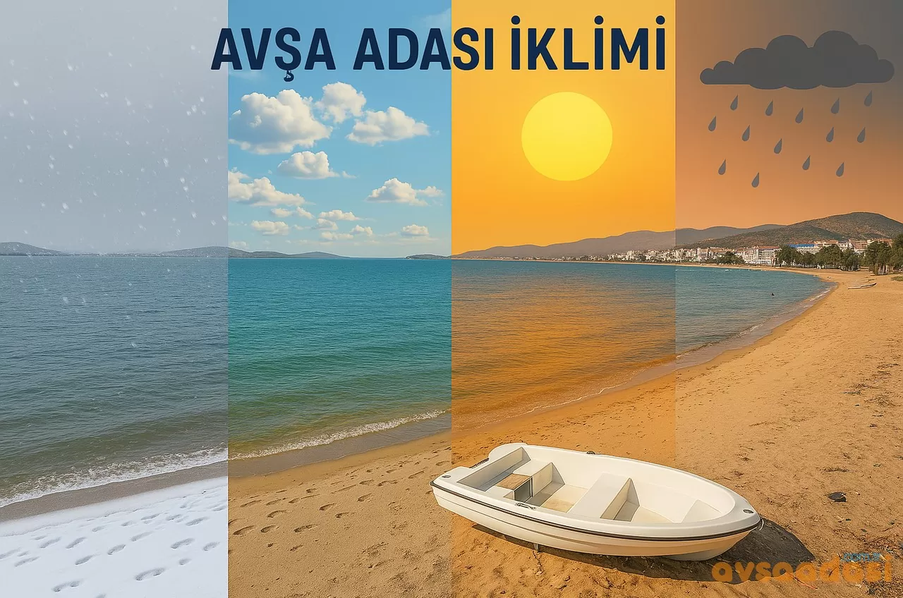 AVŞA İKLİMİ