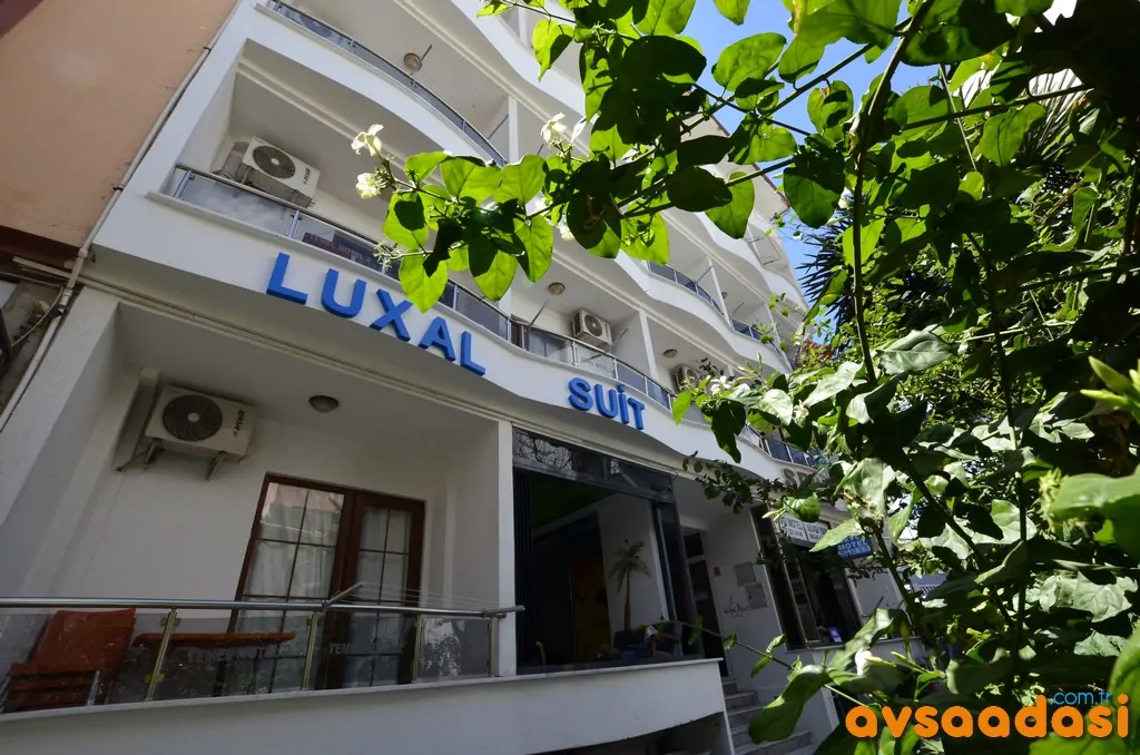 luxal-suit-avsa (22)